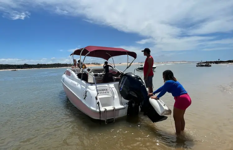 golfinhos-pipa-natal-rn